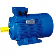 ĐỘNG CƠ ĐIỆN PARAGON